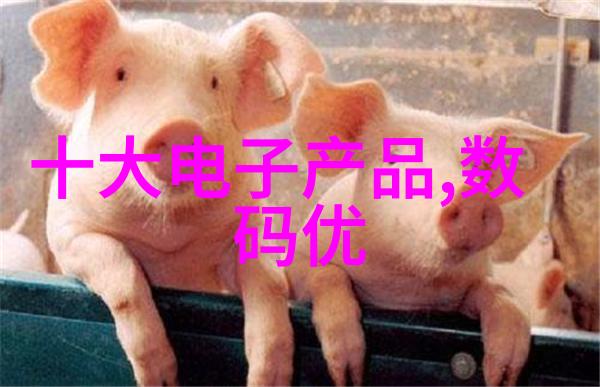 如何在全国家装官网上选择适合家庭的厨房用品