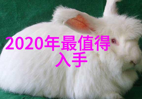河流之心探索水利水电的智慧与挑战