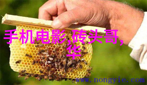 高效利用角落创造宽敞感的卧室装修技巧