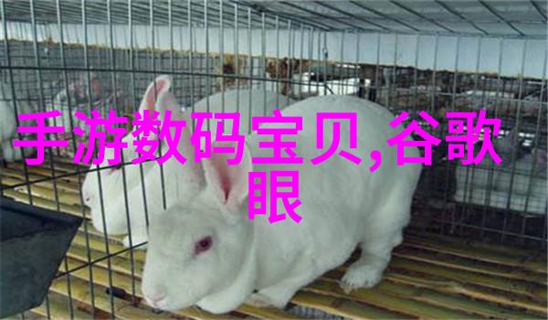 垃圾变宝生活无污染的奇迹机器