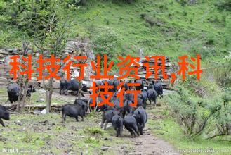 家居美化客厅空间设计图温馨舒适的家庭聚会场所