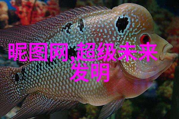 桌面之上书桌高度的选择与设计