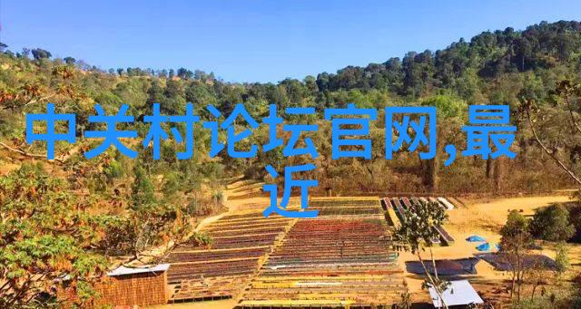 安卓市场应用丰富的智能手机应用程序