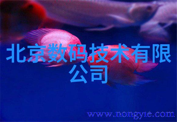 打造舒适haven25平米客厅装修效果图分享