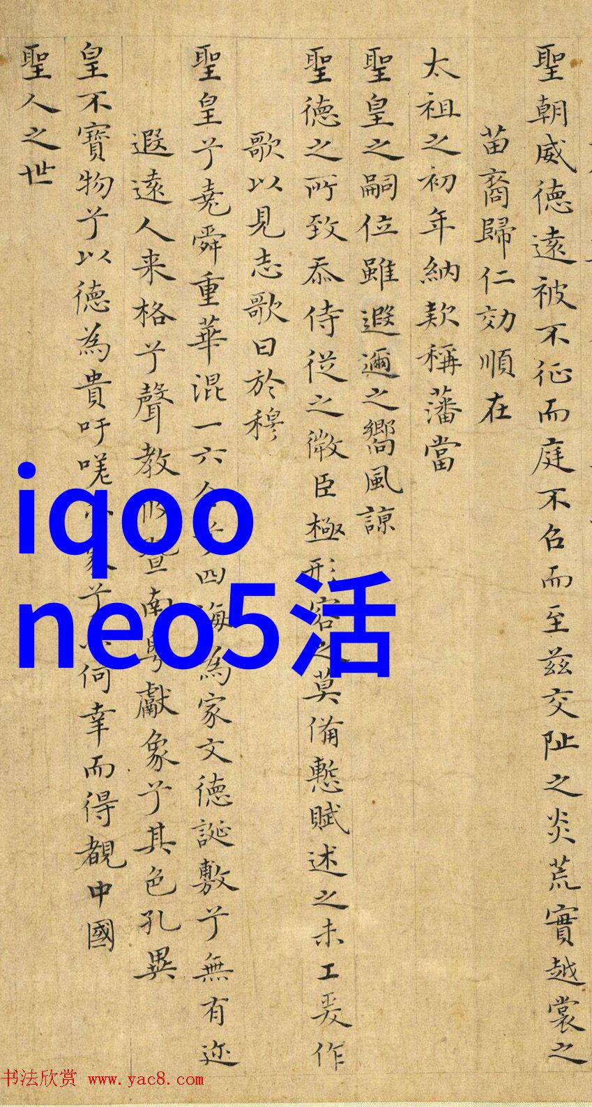 安全操作规程对于减少事故风险在什么程度上依赖于正确配置的输送机械设备