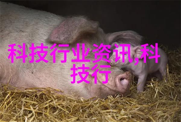 高精度压力测试保障工业设备安全稳定运行的关键设施