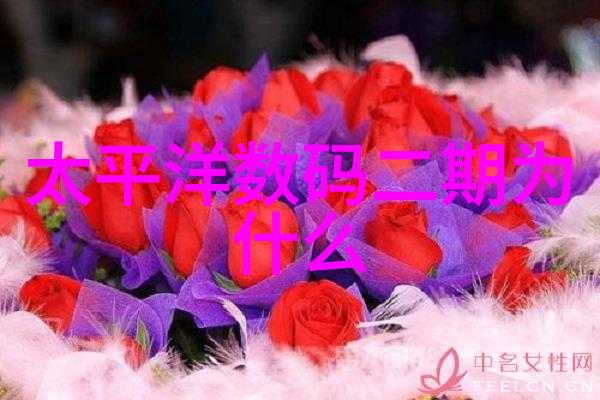 不锈钢价格之谜市场风云与隐秘涨幅