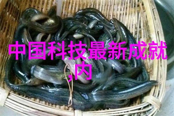 免费获取汽车配饰推荐怎么做到既实用又时尚