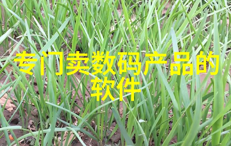 娱乐-最新热门揭秘最近中文字幕2019视频的魅力