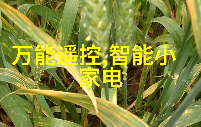 确定最优设计方案从用户体验角度看PPR和PE自来水系统