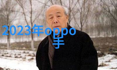 静谧园林中式别墅装修的艺术探索