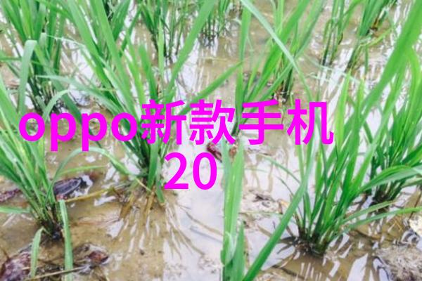 江河之心水利工程的冷门探究