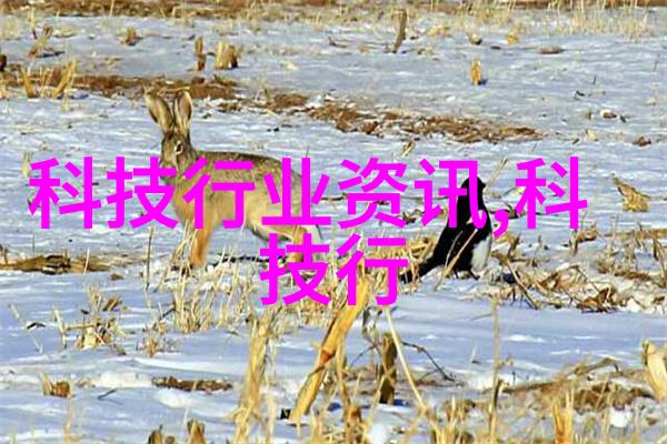 PE排水管材维护与清洁技巧总结