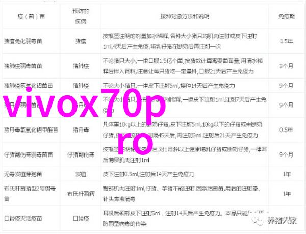机器视觉软件革命智能图像识别与计算机视觉技术的未来趋势