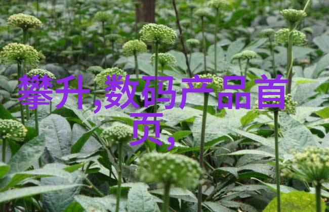水质检测仪指标数值清澈之镜中的生态守护者