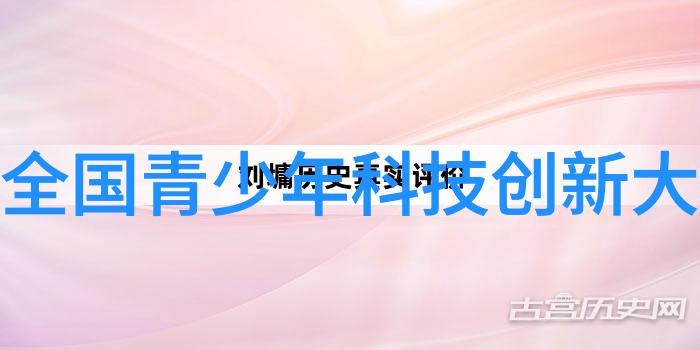 超标之谜数字背后的算法与隐秘