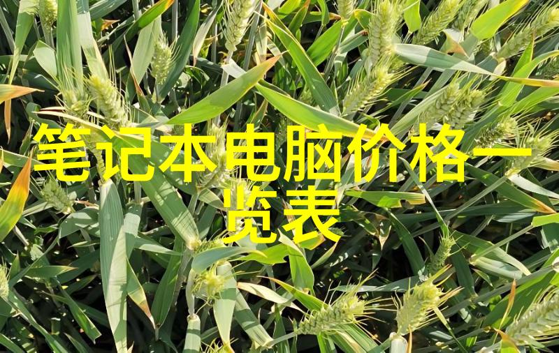 蒸汽之力高压灭菌器的无声守护者