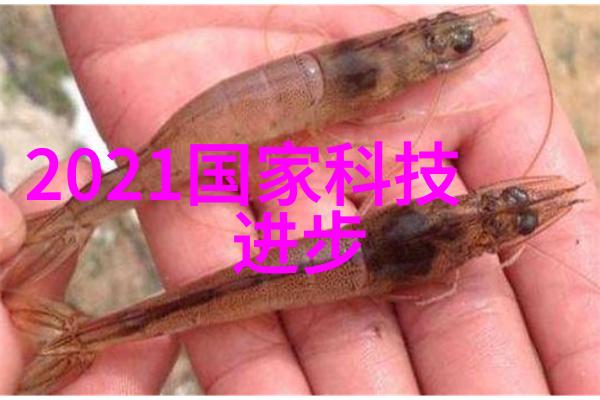 不锈钢板最新价格盘点市场动态与采购建议
