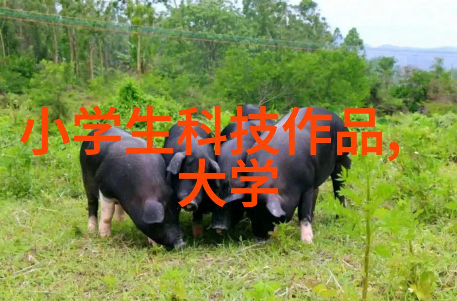 PVC配方塑料魔法与笑话调料