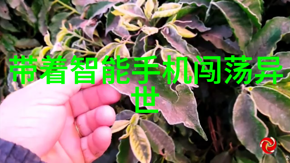 亚太股份新兴市场的投资机遇
