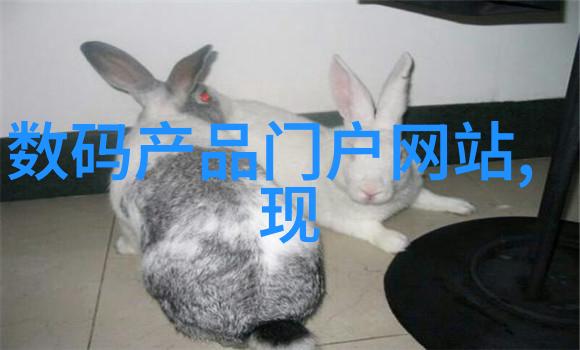 DNA复制快慢不同类型的PCR法及其区别介绍