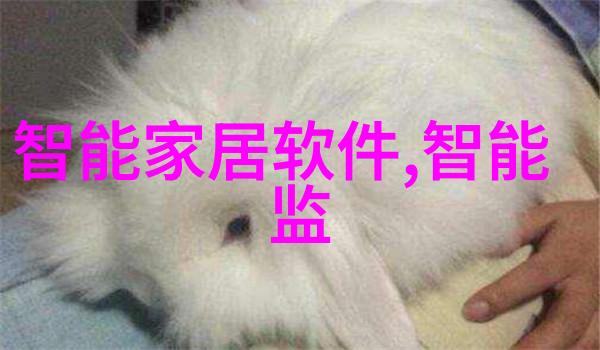 汽车配件精选提升车辆性能的秘诀