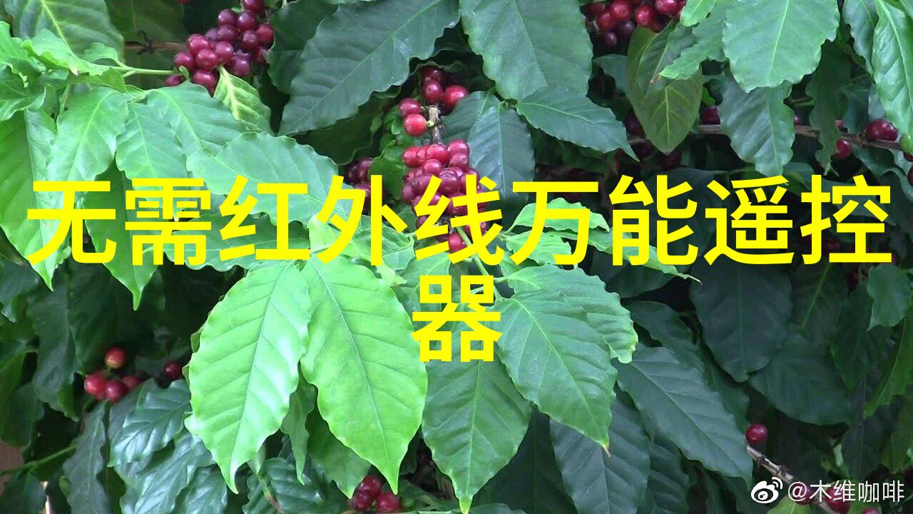 毒影下的秘密