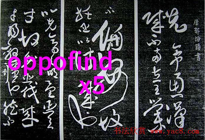 微波杀菌技术食品安全新纪元的秘密武器吗