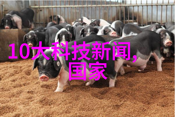 小型纯净水设备亲自尝试这款超省电的家用清洁器