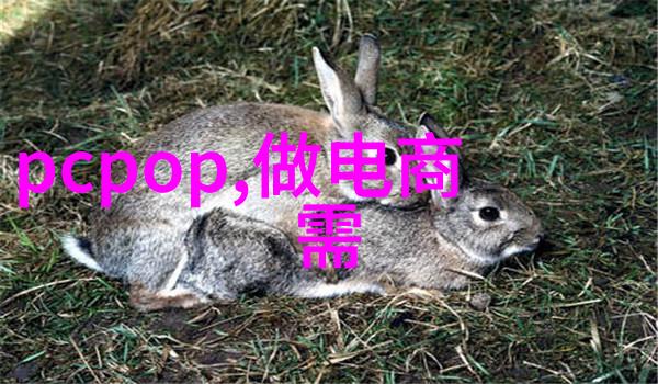 超高速离心机能否实现无需能源消耗的运行