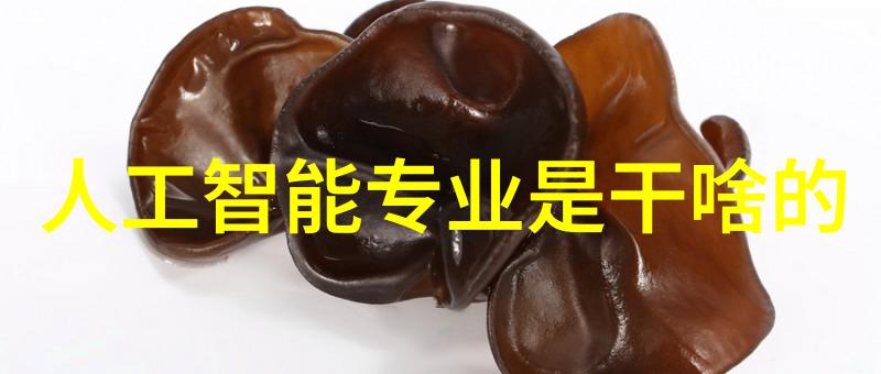 数字化转型智能制造人才培养计划在合肥职院的实施情况分析