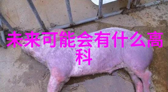 水域守护者刚性防水套管的隐秘守望