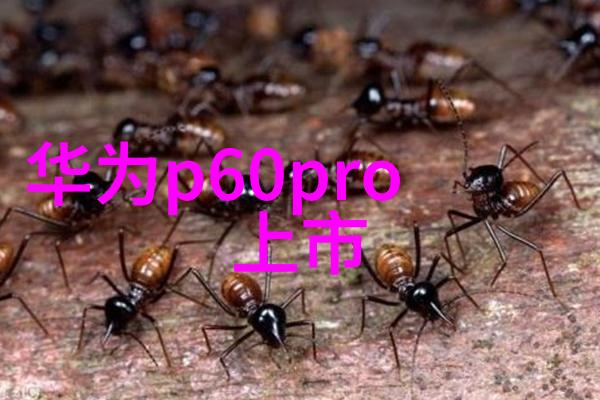 PE管件全新料生产厂家高品质材料的选择