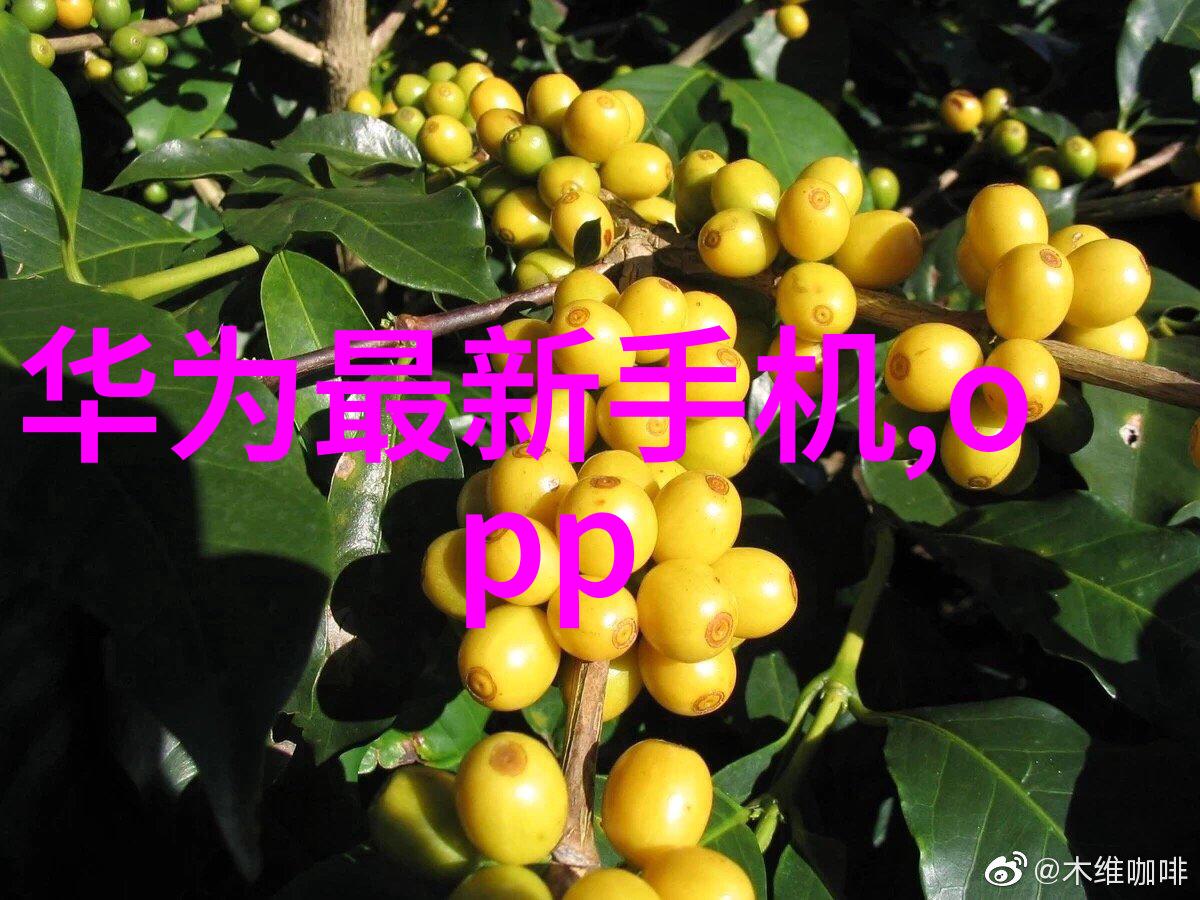 工程项目必备的强劲伙伴评估中大的塑料输送带制造商
