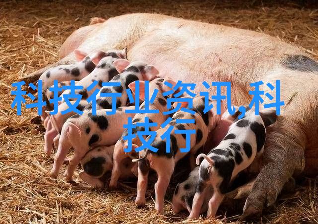 古今中外的奇幻旅程从北京到巴黎的穿梭机器猫
