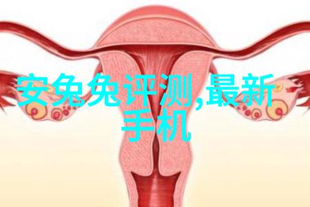 化工填料的秘密揭开阶梯环抗压强度的神秘面纱