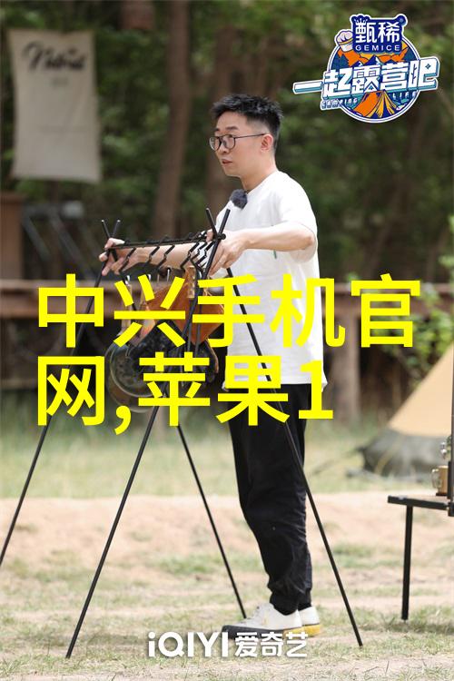 从晶圆到集成电路芯片制造的奥秘探究