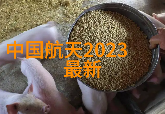 当代学生宿舍中空間互助模式之研究及其实施建议