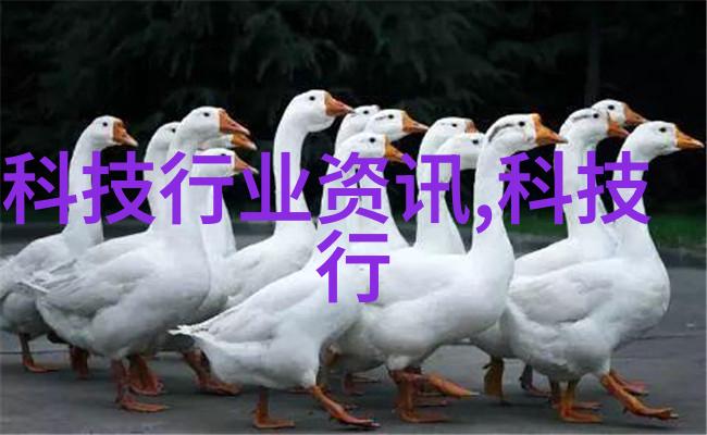 河流的生命力探索水利水电工程的奥秘与挑战