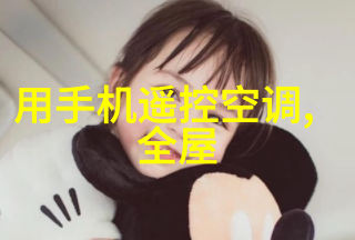 房屋安全隐患排查与解决方法二手房翻新的必要步骤之一