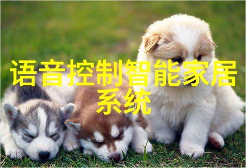 进博同款健康家电配件同步上新京东天猫抖音 社会大众享好物便捷购