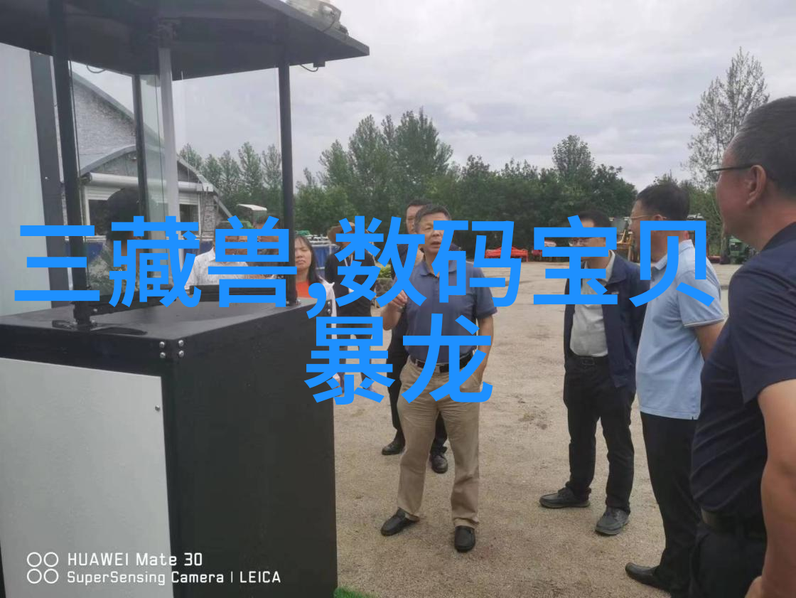 梦想居所家庭装修设计效果图的艺术探索