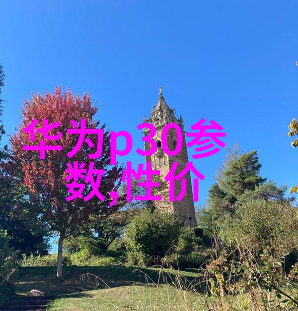 山东新华高压蒸汽灭菌器之谜