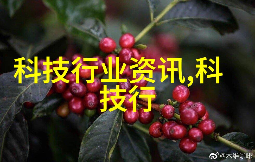 S货C死大声呼唤