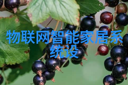 真空冷冻干燥设备-超低温下物质结构变化研究与应用