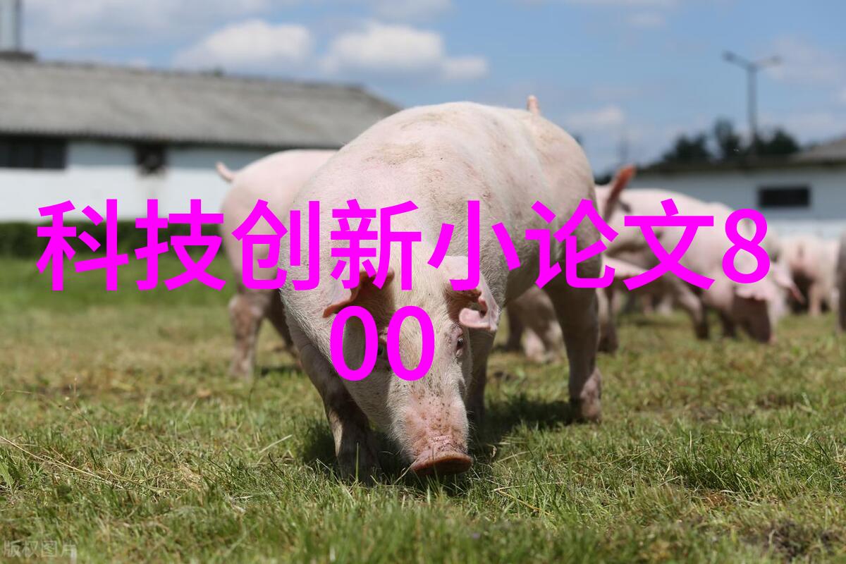 燕子传奇古老的神鸟与人类之间的奇遇
