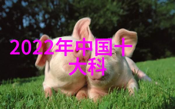 电子产品生产线上使用了哪种类型的油水分離過濾設備