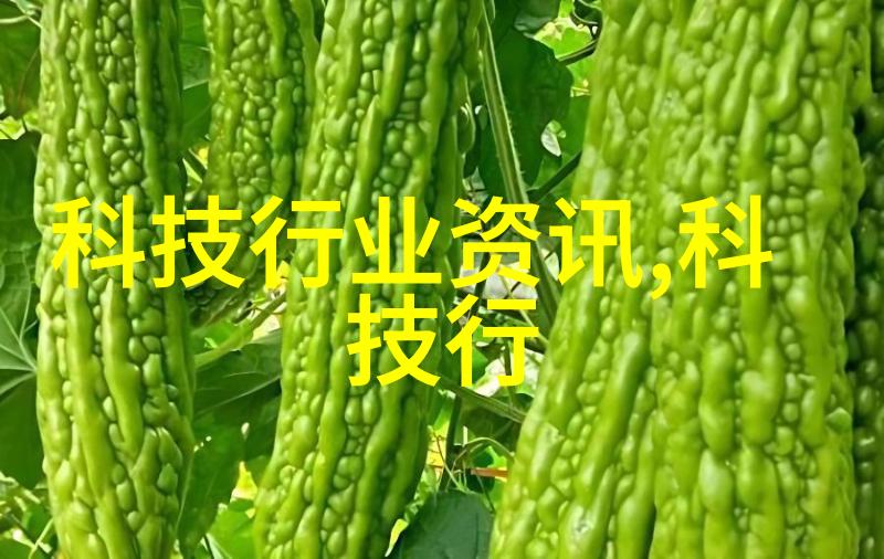 现代简约风格三室一厅房的温馨家居美学