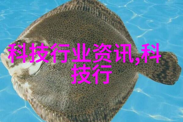 药品外包装机械我是如何让生产线更高效的