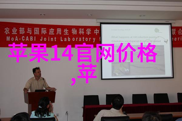 安装指南三瓣六瓣填料的正确使用方法与注意事项